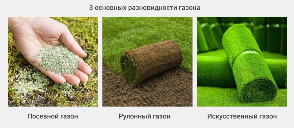 Виды газона и варианты его формирования
